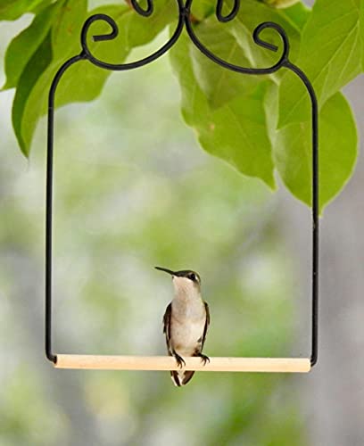 2 Pack Hummingbird Swing Metal Frame Hummingbird Perch Wild Bird Swing with Wooden Dowel for Hanging Outside