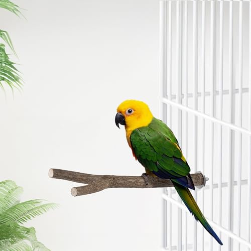 Niteangel Natural Wooden Perches for Bird Cages - Ideal for Cockatiels, Parakeets, Finches & Other Caged Birds (Natural Bark, 2 Pack) - color: Natural Bark