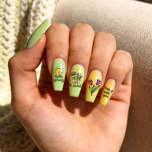 PH PandaHall 3pcs Spring Nail Stamping Plates Flowers Leaf Nail Art Template Butterfly Bee Nails Image Plate Potted Plants Nails Design Stamper for Women Spring Manicures Salon Decoration Printing - style: Spring
