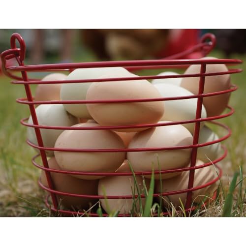 Stromberg's Large Egg Basket (Red) Holds 5.5 Dozen (66) Eggs | Coated Metal Egg Basket | Will Not Leave Marks on Eggs and Easy to Clean | Shape Allows Air Flow for Fast Cooling and Drying | Coated Metal Egg Basket, Will Not Leave Marks on Eggs and Easy to