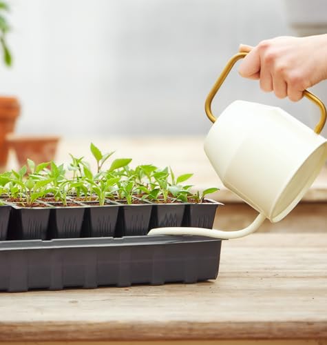 Burpee 72-Cell Self-Watering Seed Starter Kit for Indoor Seed Starting | Complete grow kit with coco coir pellets, humidity dome and self-watering system for starting vegetables, herbs and flowers - color: 72 Cell Self Watering Kit