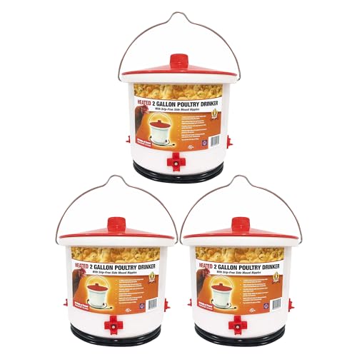 Farm Innovators 3 Pack Heated Chicken Waterer, Poultry Drinker Bucket, 2 Gallon - color: 2 Gallon, size: 3 Pack