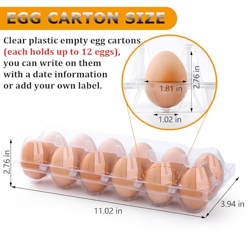 100 Pack Plastic Egg Cartons Cheap Bulk 12 Count, Clear Egg Trays 2x6 Grids | Bulk Egg Carton Fits Small to M Chicken Eggs, Reusable Egg Holder/Container for Family, Chicken Farm and Markets - size: 100P2×6