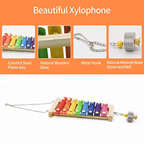 2pcs Chicken Toys, Chicken Swing Toys and Chicken Toys Xylophone | for Poultry Run Rooster Hens Chicks Pet Parrots Macaw Entertainment Stress Relief - size: 2pcs Chicken Swing Toys Set
