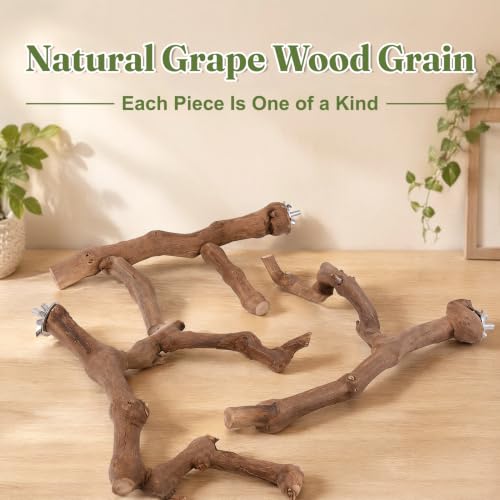 3PCS Natural Grapevine Bird Perch Set for Cage, Parakeet Cage Accessories
