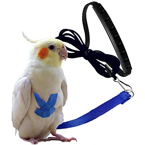 Dnoifne Parrot Harness and Leash, Adjustable Training Design Anti-Bite, Nylon Rope with Cute Wing for Parrots, Suitable for Alexandrine, Scarlet, Keck, Mini Macaw & Same Size Bird (Blue) - color: blue