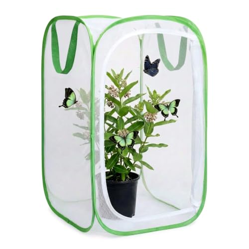 Insect & Butterfly Habitat Cage, Portable Pop-Up Terrarium with Mesh Sides, Bug Catching & Observation Enclosure for Caterpillars, Small Insects, Outdoor & Classroom Use, 24 Inches Tall - color: White/Green, size: 24 × 16 × 16 inches