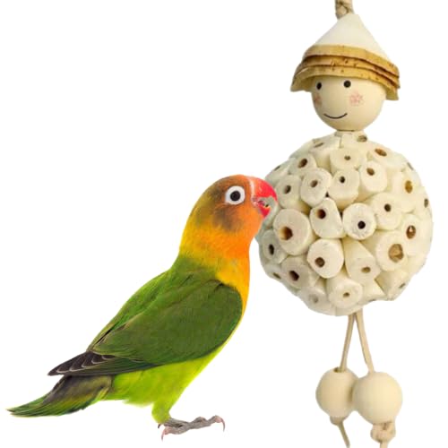 Bird Parrot Foraging Shredder Hanging Toys Sola Ball, Parrot Chew Shred Toy | Cage Accessories for Sharpening Claws and Beaks for Small Birds, Cockatiel, Conure, Parakeets, Love Birds, Budgie