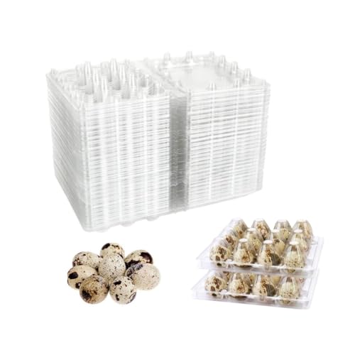 Honkenda Clear Plastic Quail Egg Cartons, 12 Tray Small Eggs Carton Holders Container, PVC Stackable Egg Storage Box with Hinge Lid, 12 Grids Egg Protection Box for Pheasant Pigeon (50 Pack)