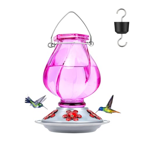 Glass Hummingbird Feeders for Outdoors Hanging, Ant Moat, Purple | 22oz, 5 Feeding Ports, Leak Proof, Weather Resistant, Easy Refill & Clean, Garden & Yard Decor, Gifts for Women Men Mom Dad - color: Ruby Purple