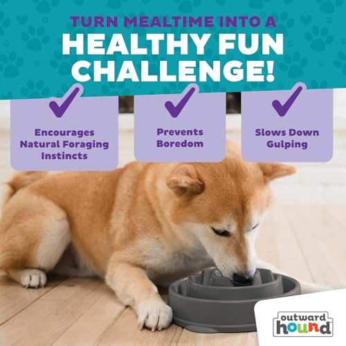 Outward Hound Fun Feeder Slo Bowl – Medium 2‑Cup Capacity,Slow Feeding,Small to Medium Dogs & Cats,Non-Slip,Gray,Drop Pattern,(Pack of 12) - color: Gray, size: Medium (Pack of 12)