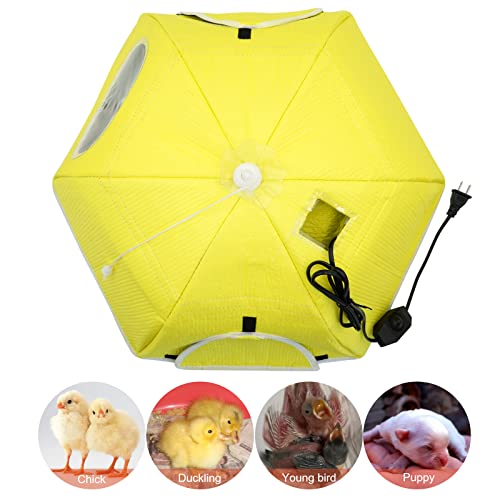 Large Chick Brooder Heating Plate Chick Brooder Box 21.6" Heat up to 50 Chicks, Chick Warmer Chicken Coop Heater Poultry Brooder for Chick Duckling Quail Goose Bird Hatchling | 21.6" Heat up to 50 Chicks, Chick Warmer Chicken Coop Heater Poultry Brooder f
