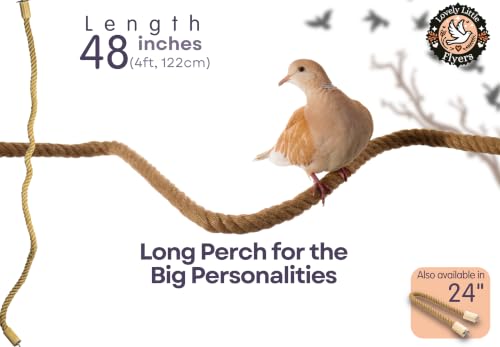 Bird Rope Perch for Parrots, Bendable Natural Jute Boing with Pine Wood and Stainless Steel Mount, Cotton Alternative, Cage Accessory for Parrots (Brown, 4 feet) - size: 4 feet