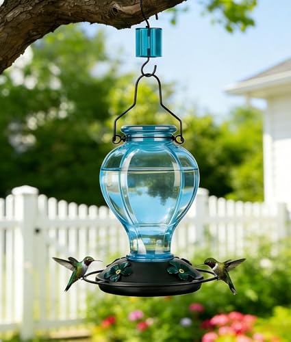 Glass Hummingbird Feeders for Outdoors Hanging, 24oz Wild Bird Nectar Feeder with Ant Moat and 360° Perch, Bee-Resistant Ports,Outside Garden Decor,Colorful Gifts for Women Mom, 1 Pack, Blue - color: Blue