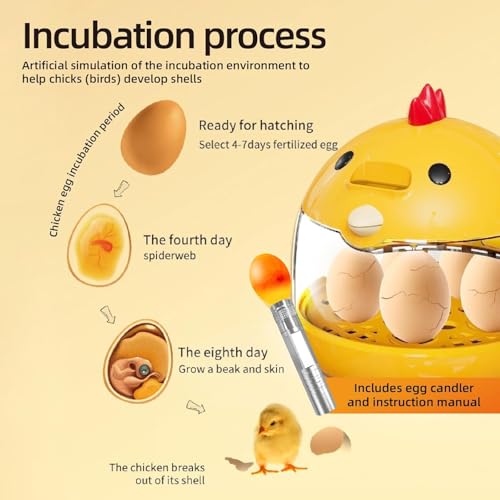 Small Household Egg Incubator USB Powered Transparent Observation Cover with Egg Projector can Hold 5 Eggs