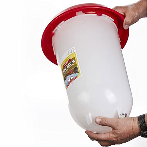 Little Giant Extra Large 3-Gallon Capacity Heavy-Duty Plastic Gravity Fed Poultry Waterer System (2 Pack)