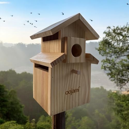 Bird House for Bluebird, Finch, Wren, Chickadee, Tree Swallow, Wild Birds, Woodpecker, Outdoor Nesting Box, Easy-to-Open (Unfinished DIY) - style: Unfinished DIY