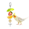 Bird Food Holder Stainless Steel Fruit Vegetable Stick Skewer for Parrots Cockatoo Cockatiel Cage Treating Tool (L: 7.86inch) - size: L: 7.86inch