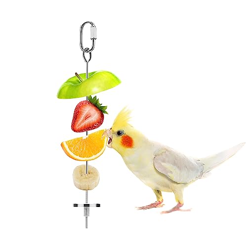 Bird Food Holder Stainless Steel Fruit Vegetable Stick Skewer for Parrots Cockatoo Cockatiel Cage Treating Tool (L: 7.86inch) - size: L: 7.86inch