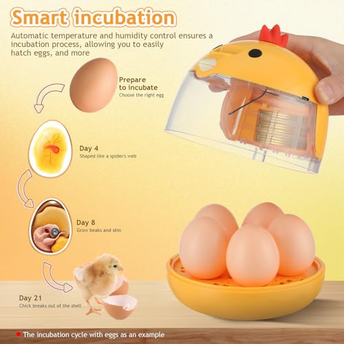 BESTonZON Small Egg Incubator for Hatching Chicks Quail Duck, Smart Poultry Hatcher with Automatic Turning Humidity Control, Clear Window Bird Incubadora
