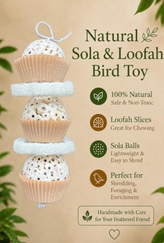 Shred & Destroy Natural Bird Toy - Double Texture Soft & Crunchy - Sola Ball and Loofah Plant - Medium Birds - Cockatiels, Conures - 2 Pack