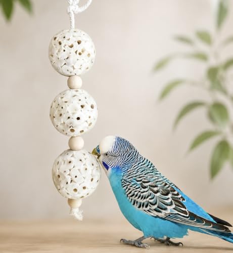 Shred and Destroy Bird Toy for Small Birds - Budgies, Lovebirds - Natural Sola Ball Hanging Chew Toy - 2 Pack - Boredom Buster Cage Toy