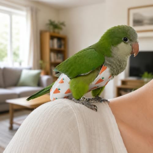 Cockatiel/Sun Conure Small Bird Diaper Harness and Leash (L) | Washable Reusable, Large Capacity, Small Parrot Diapers, Outdoor Flying Training