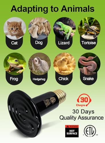 2-Pack 100W Ceramic Heat Lamps with 1-pcs Digital-Thermometer | Heater Emitter Bulbs, for Reptiles, Amphibians, Chicken Brooder Coop Lizard Turtle Snake, No Light No Harm