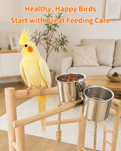 Pawfly Bird Cage Mounted Food & Water Containers, Sturdy Stainless Steel Cups with Clamp Design, Feeding Supplies for Budgie, Parakeet, Cockatiel & Conure