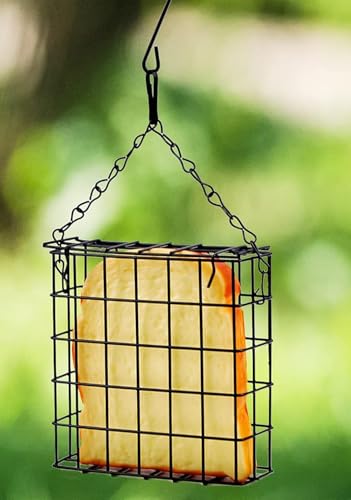 Two of Durable Outdoor Garden Yard Patio Suet Bird Parrot Easy Open Reusable Feeders Squirrel Proof for Outside Wild Bird Parrot Woodpecker Hummingbird Hanging Fruit Capacity Suet Cake Food - style: Regular