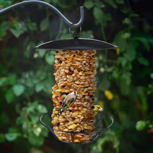 2 Pcs Cylinder Bird Feeder Outdoor Seed Cake Feeder Metal Suet Cake Holder Backyard Wild Birdfeeding Bird Feeders for Outdoors Garden(Black) - color: Black