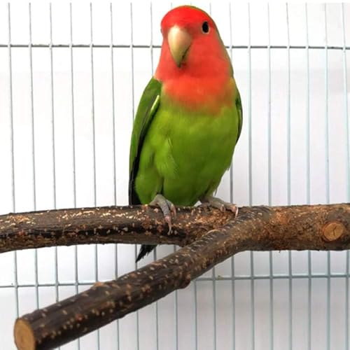 4 Pack Natural Wood Bird Perch Parrot Stand Branches Fork Toys,Pet Bird Cage Wooden Hanging Perch Platform Hammock Swing Toy for Small Parakeets,Budgies,Cockatiels,Conures,Finches - size: Size for Small & Medium Birds