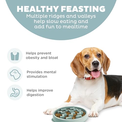 Outward Hound Medium Slow Feeder Bowl, Puzzle Maze for Fast Eaters, Small to Medium Dogs, Helps Prevent Bloat & Aid Digestion, Holds 2 Cups Wet or Dry Food, Non-Slip, Made Without BPA, Sage - color: Sage, size: Medium