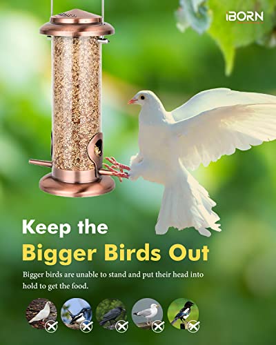 Bird Feeders for Outdoors 9.06" 2 Ports Chew-Resistant, Copper-Plating, 1PK | Metal, Durable Outdoors, Flip-top Easy Refill & Clean, Suits Mixed Seeds, Copper-Plating