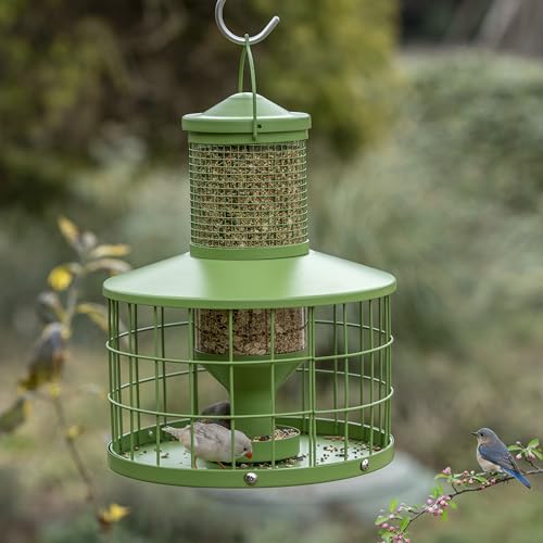 Caged Bird Feeders Squirrel-Proof, Metal, 2.8Lbs Capacity-Cage Tube Seed Feeders with Tray, Hanging Wild Bird Feeders, Attract Birds,Detachable Cleaning, Starling Proof Wild Bird Feeder（Green） - color: Green