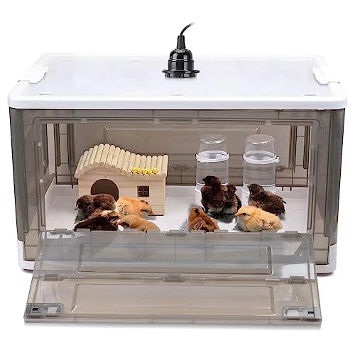 Chick Brooder,Brooder Box for Chicks,Brooder Heater Warms up to 15 Chicks (20″x14″x12″)