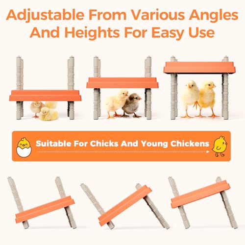 Smart Chick Brooder Heating Plate 10"x10" with Digital Temp Control (95℉-149℉), Stepless Adjustable Height & Anti-Roosting Cone, Mother Hen Chick Heater for Up to 15 Chicks - color: ORG-DSP-10