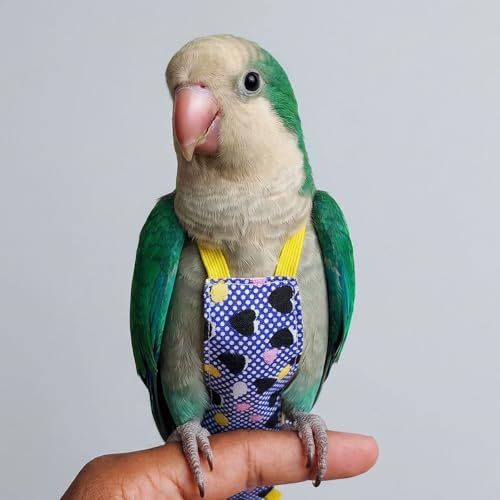 Bird Flight Harness Vest, Snap-Fastener Design Harness Vast, Bird Flying Clothes with Rope and Handle for Parakeets Cockatiels Conures Budgies（Black Heart - Vest + Traction S - color: black Heart, size: S