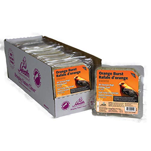 Heath Outdoor Products DD14-10: Orange Burst Suet Cake - Pack of 10
