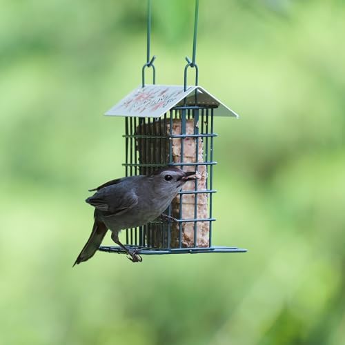 Wild Wings Decorative Metal Suet Cage Feeder for Outdoor Décor Wild Bird Feeders, 1 Suet Cake Capacity, Hanging Suet Feeder, Black