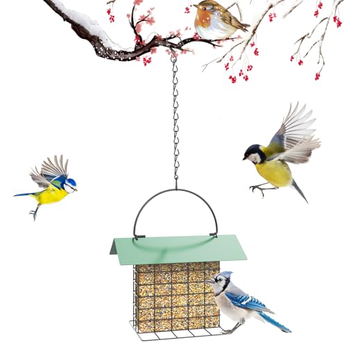 Bird Feeder for Outdoors, Squirrel Proof Suet Feeder for Outside Hanging | Adjustable Chain Hanging for Garden Yard Outside - Suet Cake Feeders Squirrel Proof Birdfeeder
