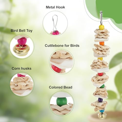 Bird Toys with Cuttlebone, Grinding Stone for Bird, 2 Pcs, B | Prevent Destructive Chewing, Colorful，White - style: Style B
