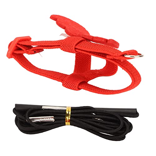Pet Bird Harness Leash, Lightweight Bird Flying Harness Anti Bite Bird Harness Leash for Parrots Pigeons Lovebird Red - size: M