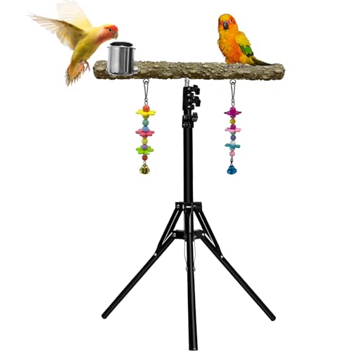16-63 Inch Height Adjustable Bird Perch Pepper Wood Parrot Training Perch Stand with Feeding Cups and Swing Toy Parakeet Perches Indoor and Outdoor Parrot Stands for Small to Medium Bird - size: Floor Bird Perch with Feeding Cup