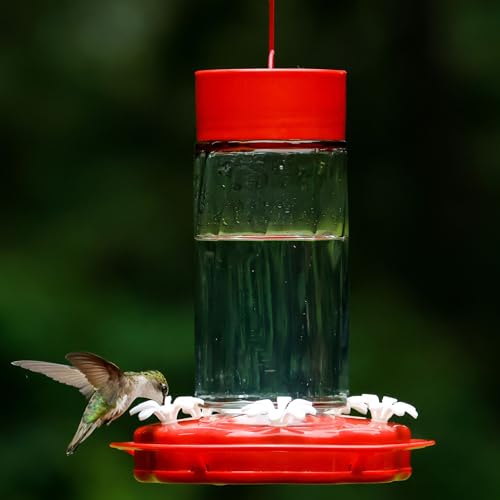 Nature's Way Hanging Glass Hummingbird Feeder for Outdoor Décor, 20 Ounce Capacity Nectar Feeder, Ant Moat, 5 Easy to Clean Flexible Ports, Red - style: 20 Ounce Capacity
