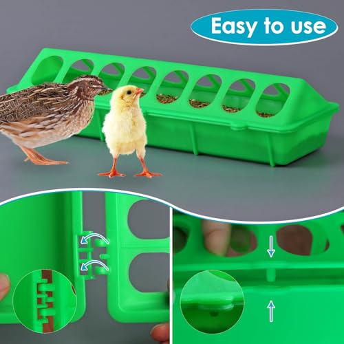 Flip Top Chick Feeder Trough, Plastic Bird Small Poultry Feeder | No Mess, No Waste Chicken Feeder for Small Chicks, Pigeons, Quails, Birds, Ducklings, Ideal for Using in a Brooder (Green) - color: Green