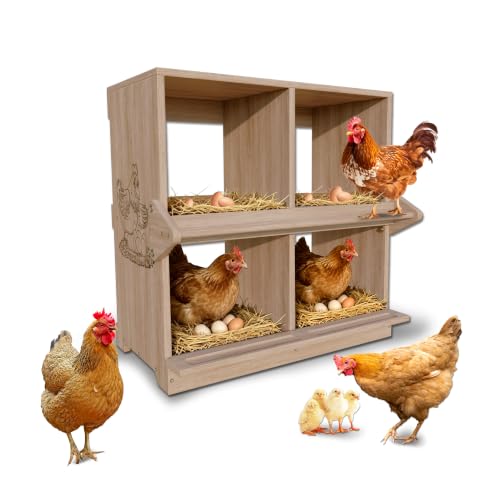 Wooden Nesting Boxes for Chickens Two-Tier Chicken Nesting Box with Swing Perches Floor and Wall Mount Large Laying Eggs Nest Box for Chickens Hens Ducks Poultry (4 Compartments) - size: 4 Compartments