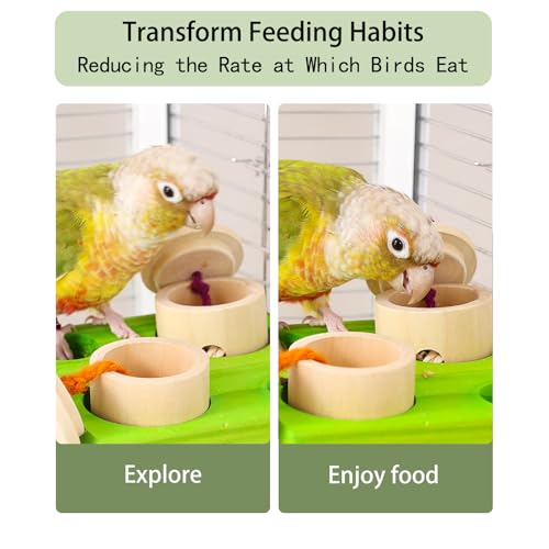Birdie Puzzle Feeder - Interactive Foraging Toy for Parrots, Parakeets, Cockatiels, Conures | Mental Enrichment & Stimulation Game to Prevent Boredom (Green) - color: green