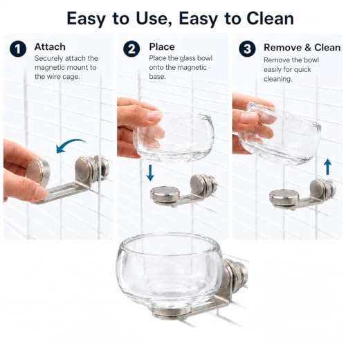 Magnetic Glass Bird Feeding Bowl for Cage, No Drill Removable Water and Food Cup for Parrots, Cockatiels, Conures, Budgies and Lovebirds, 100ml,4246-2 - color: Transparent