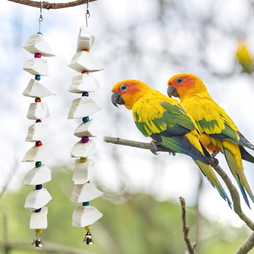 BNOSDM Bird Toys with Cuttlebone 4 Pack Hanging Cuttle Bone Chew Toys Natural Bird Beak Grinding Stone Parakeet Calcium Toys Bird Cage Accessories for Budgies Cockatiels Lovebirds Conures Parrots (9)